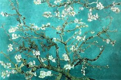 Vincent Van Gogh Almond Blossom Branches Post Impressionist Art Poster 36×24
