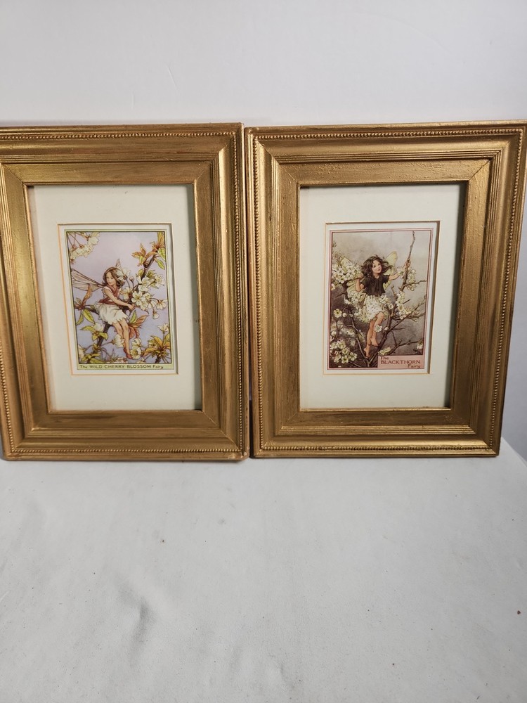 2 Vintage Fairy Framed Art Print by Cicely Mary Barker Wood Gold Frame 8×10 1/2