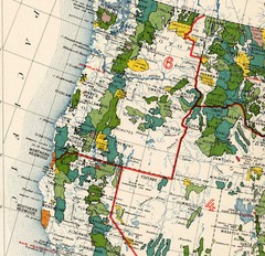 1939 Map of National Forests Parks Monuments and Indian Reservations Wall Poster