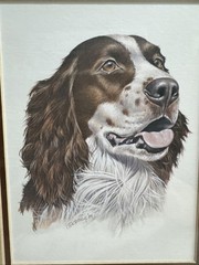 English Springer Spaniel Dog Double Matted Brown Frame 9.5″ x 11.5″ Roger Crowys
