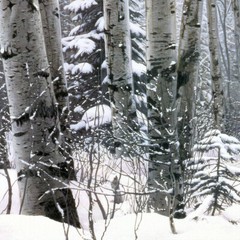 36W»x24H» A WALK IN THE WOODS by STEPHEN LYMAN – DEER MOOSE CHOICES of CANVAS