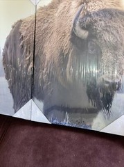 Vintage Buffalo Canvas Wall Art Decor – 16×24 3 Piece Set (Total 48X72 inches)