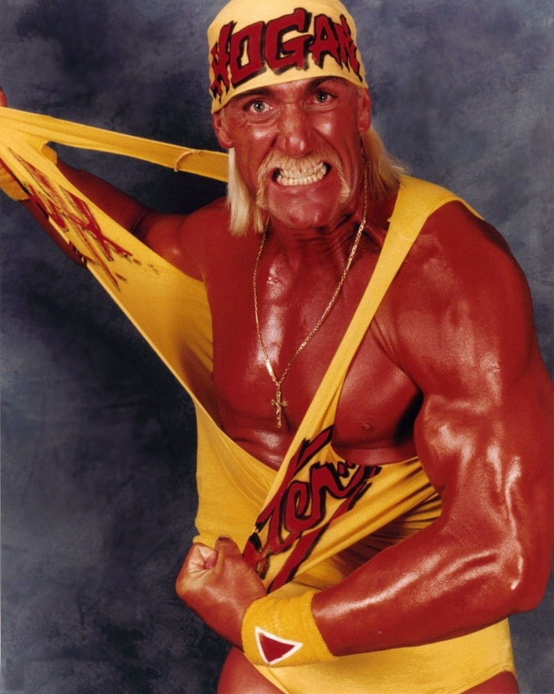 LARGE HULK HOGAN WRESTLING POSTER 24×36 ART PRINT WATERPROOF CANVAS
