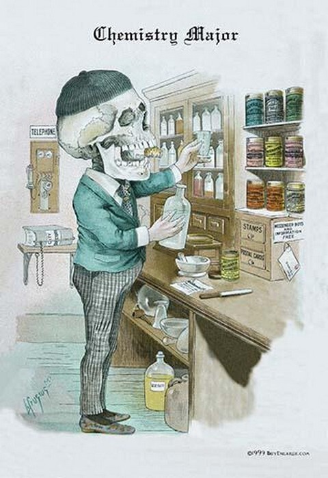 Chemistry Major by Louis Crusius MD – Funny Skeleton Characters – Art Print