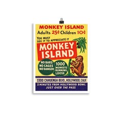 monkey