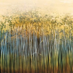 48W»x24H» RIVERBANK REFLECTIONS by ROBERT HOLMAN – LONG GRASS CHOICES of CANVAS