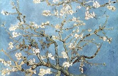 Vincent Van Gogh Almond Blossom Branches French Impressionist Poster 36×24