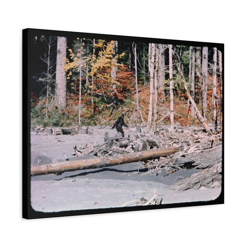 Bigfoot, Patterson Gimlin 352 on a 24×18″ High-Quality Canvas Wall Art