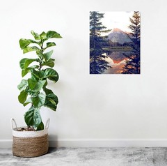 Impact Posters Gallery Wall Decor Reflection of a 20″L x 16″W, Multicolor