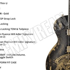 ESP Will Adler Warbird Distressed Lamb Of God Guitar Specs Poster Wall Art Print